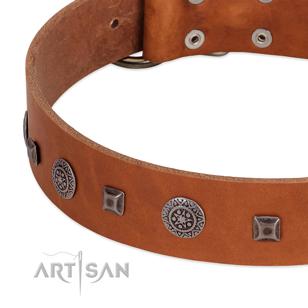 Trendy full grain genuine leather collar with adornments for your four-legged friend