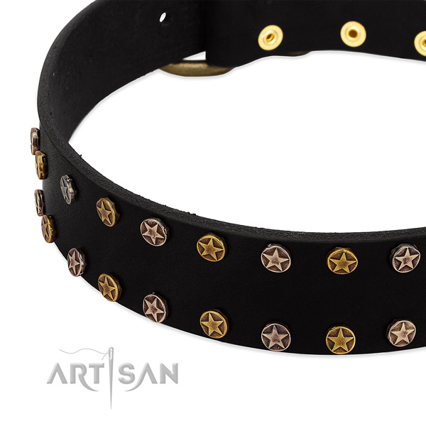 Incredible studs on full grain genuine leather collar for your doggie