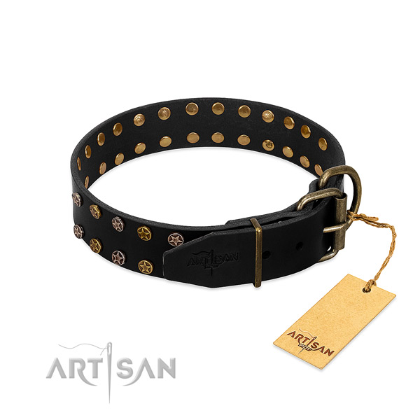 Full grain leather collar with exquisite embellishments for your dog