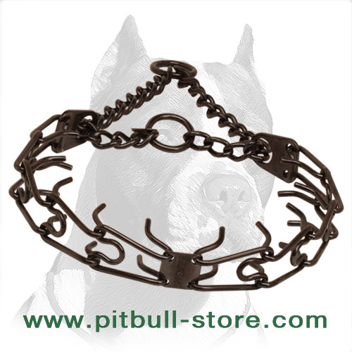 Corrosion resistant black stainless steel pinch collar for poorly behaved dogs