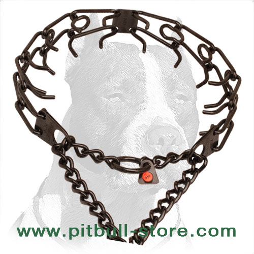 Black stainless steel pinch collar for ill behaved pets