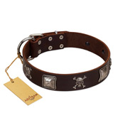 Best Studs and Spikes Leather Dog 【Collar】 for Pitbull : Pitbull